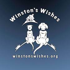 Winston's Wishes 501c(3)